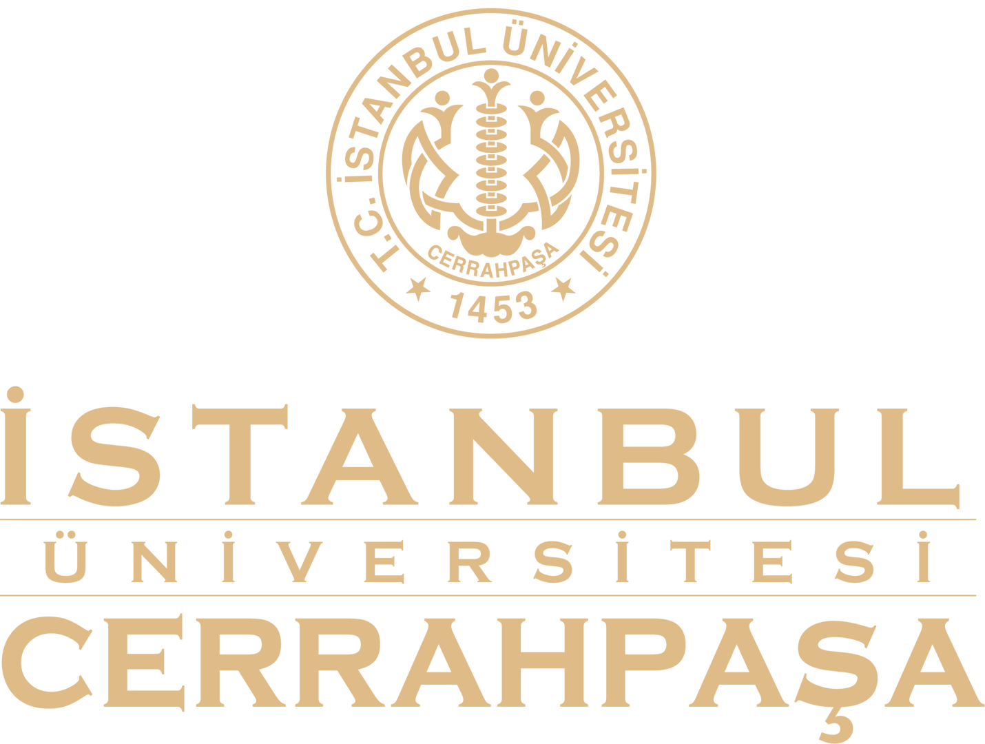 İstanbul Üniversitesi Cerrahpaşa