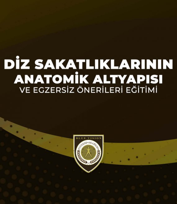 dizsakatliklarianatomik.jpg