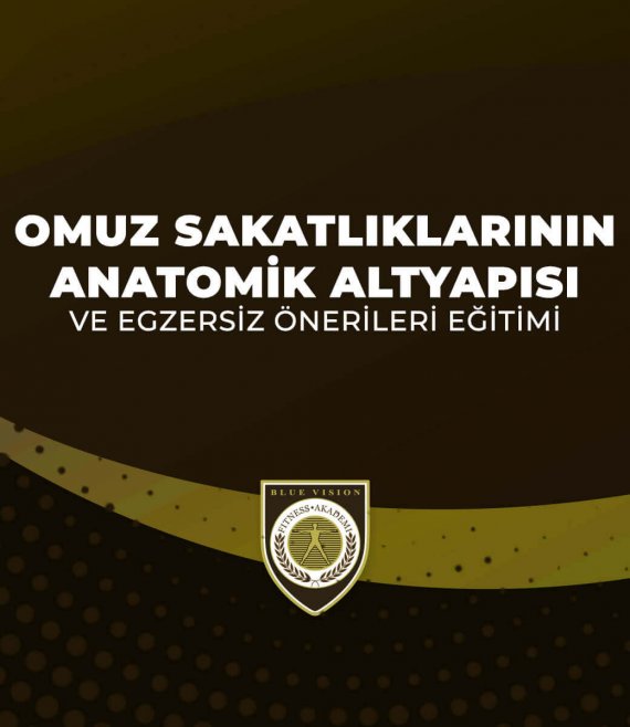 omuzsakatliklarianatomik.jpg